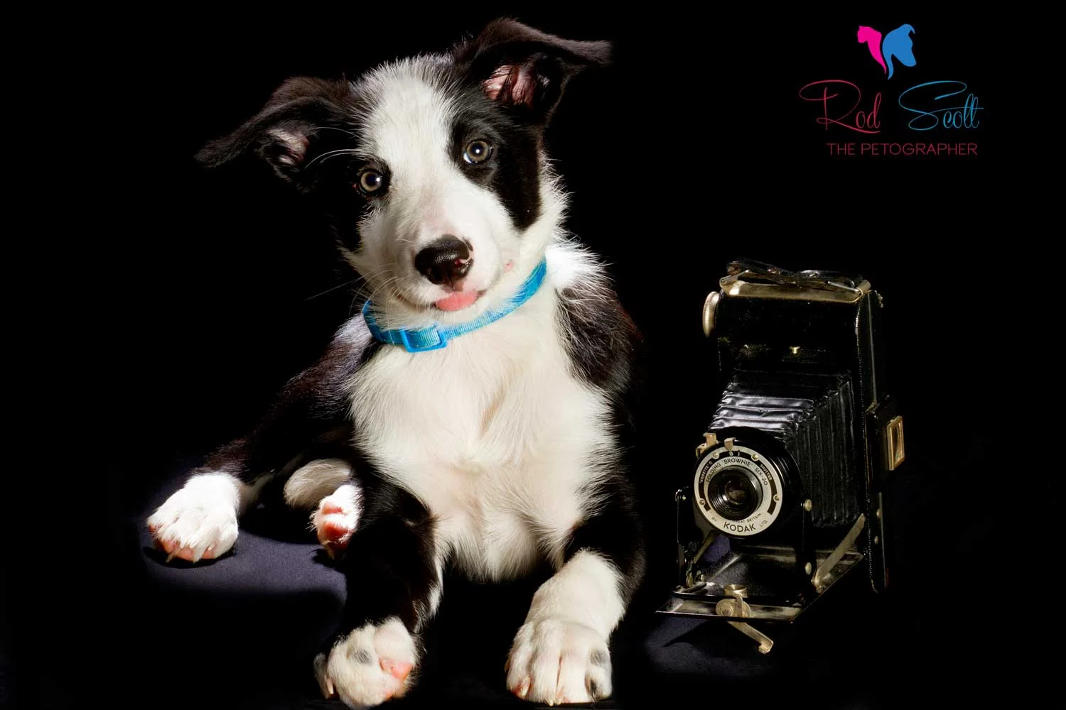 Indoor Studio Shots in the Privacy of your own Home&nbsp;