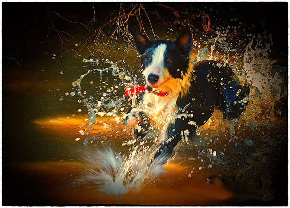 Outdoor action | Light