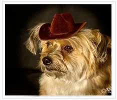 1431063688testimonial2