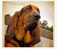 1431063721testimonial3