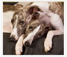 1431063760testimonial4