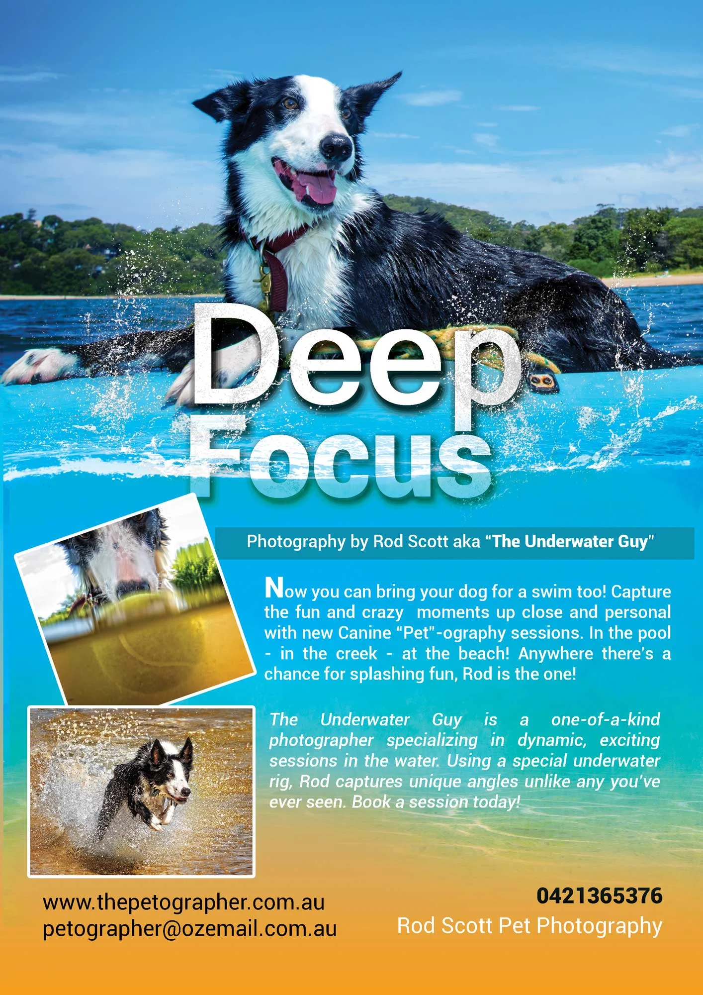 Deep_Focus_Web_use