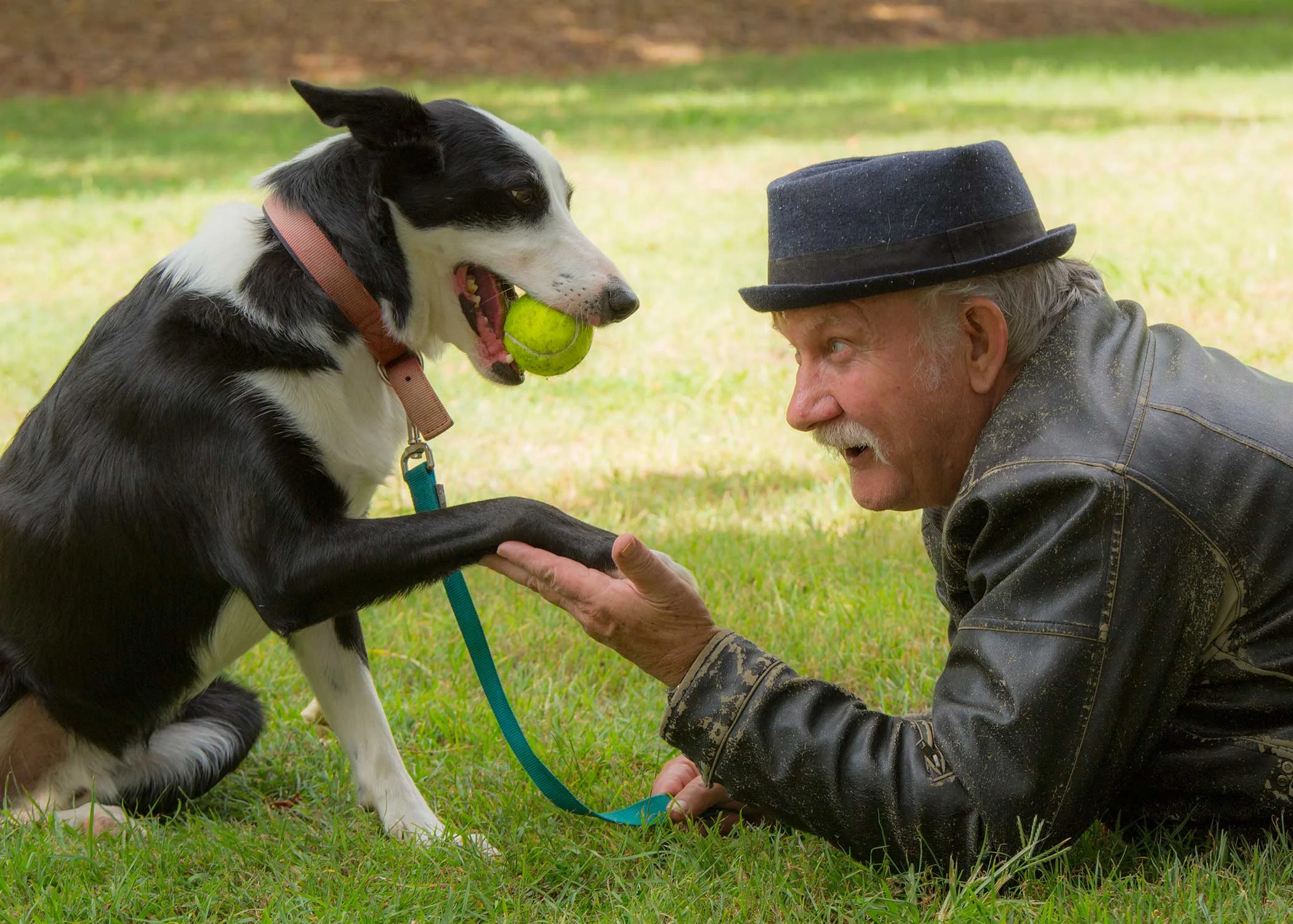 Pet Photography Brisbane
