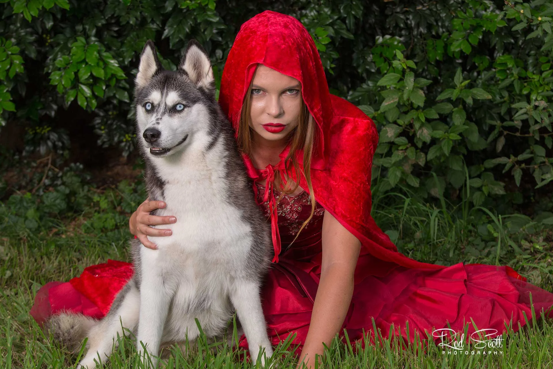 Rod Scott pet photography