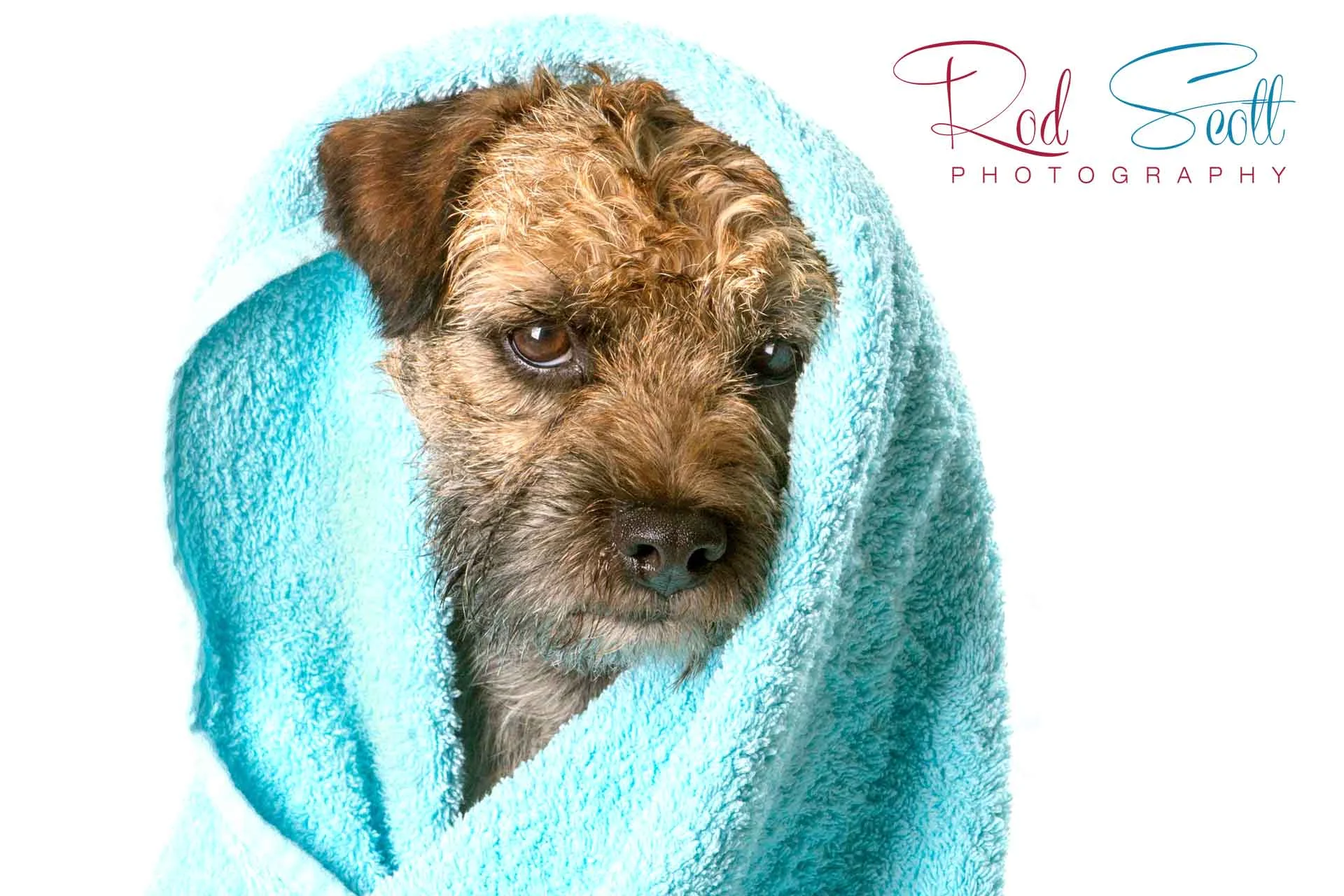 Photographer Brisbane