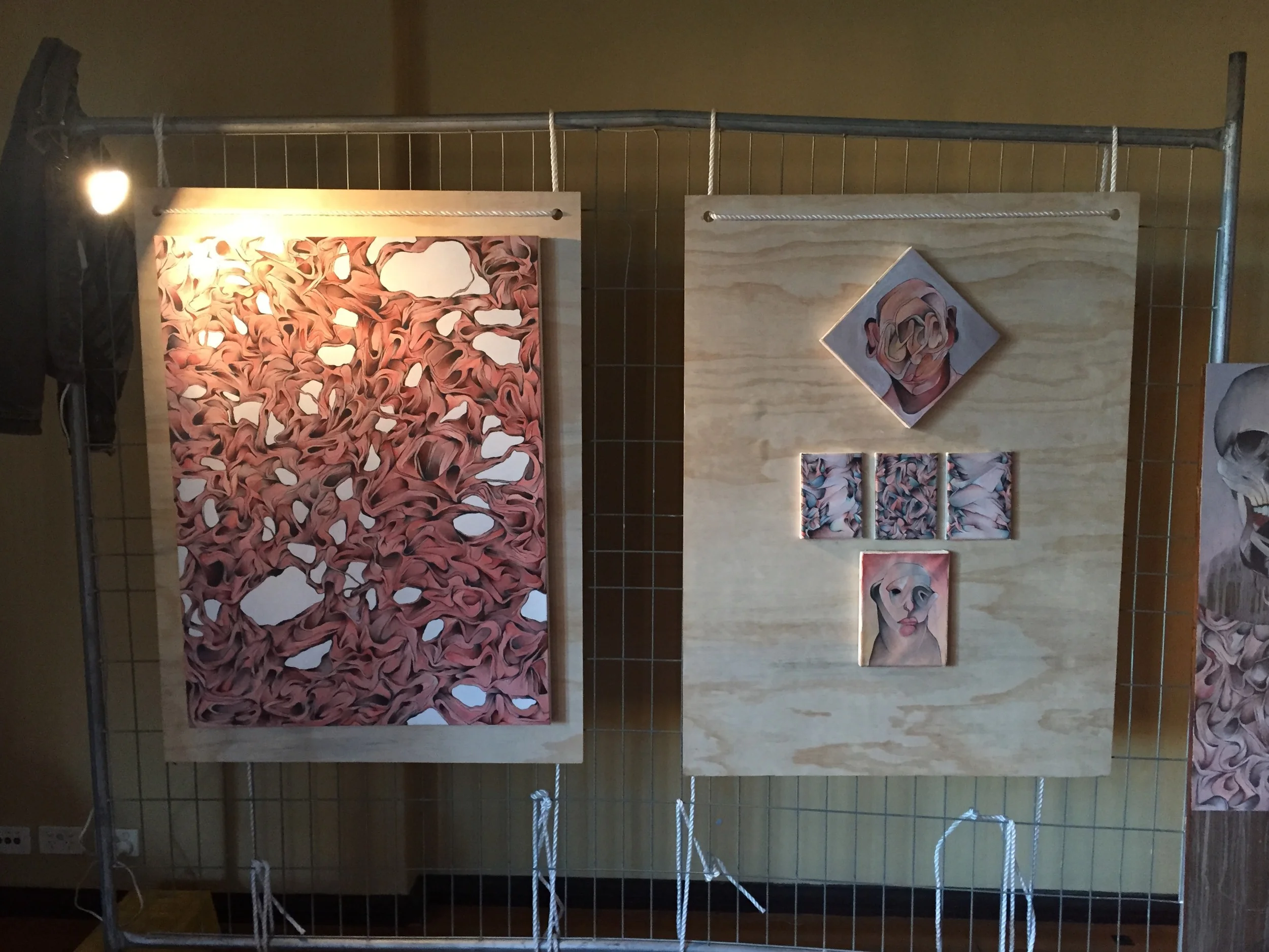   Raw 'Sensory'&nbsp; showcase, June 2015, Sydney University. 