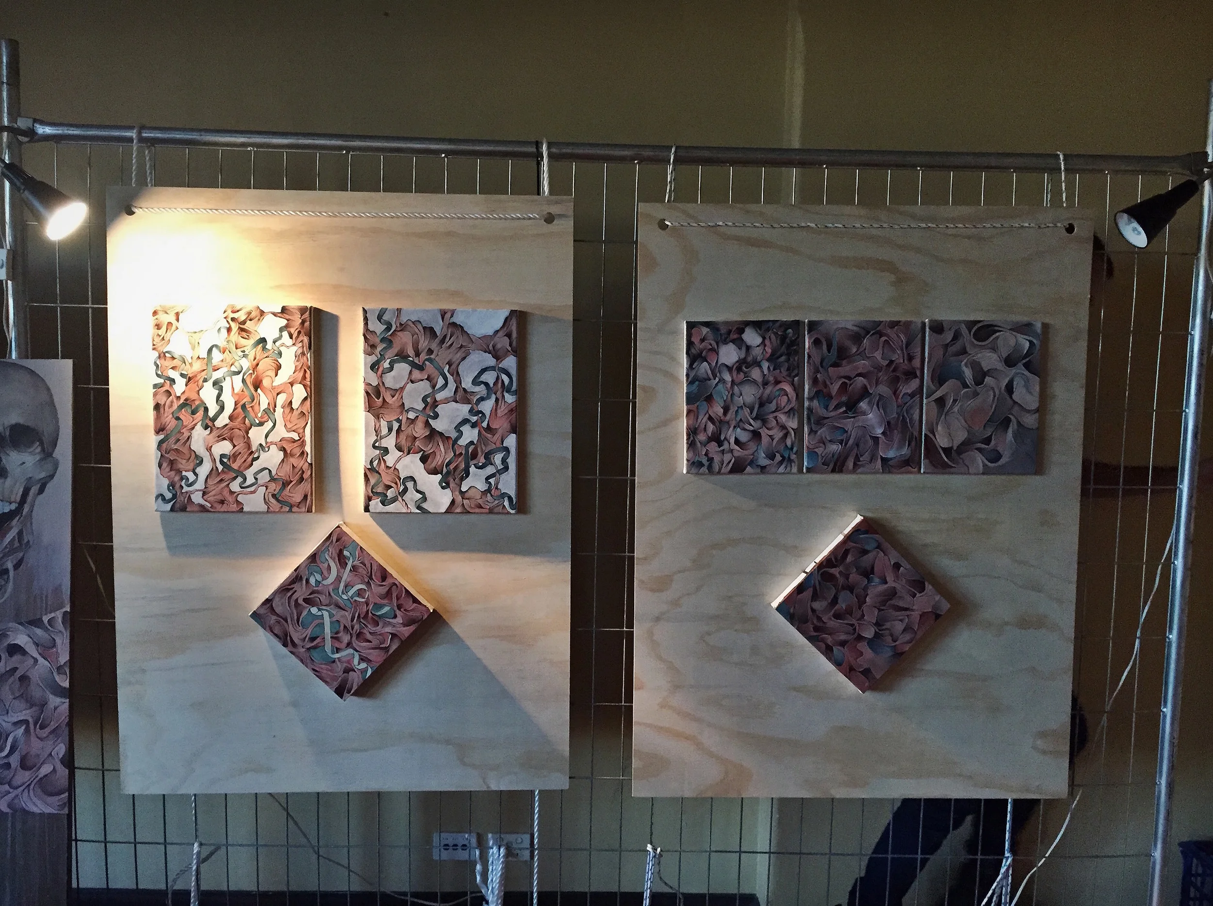   Raw 'Sensory'&nbsp; showcase, June 2015, Sydney University. 