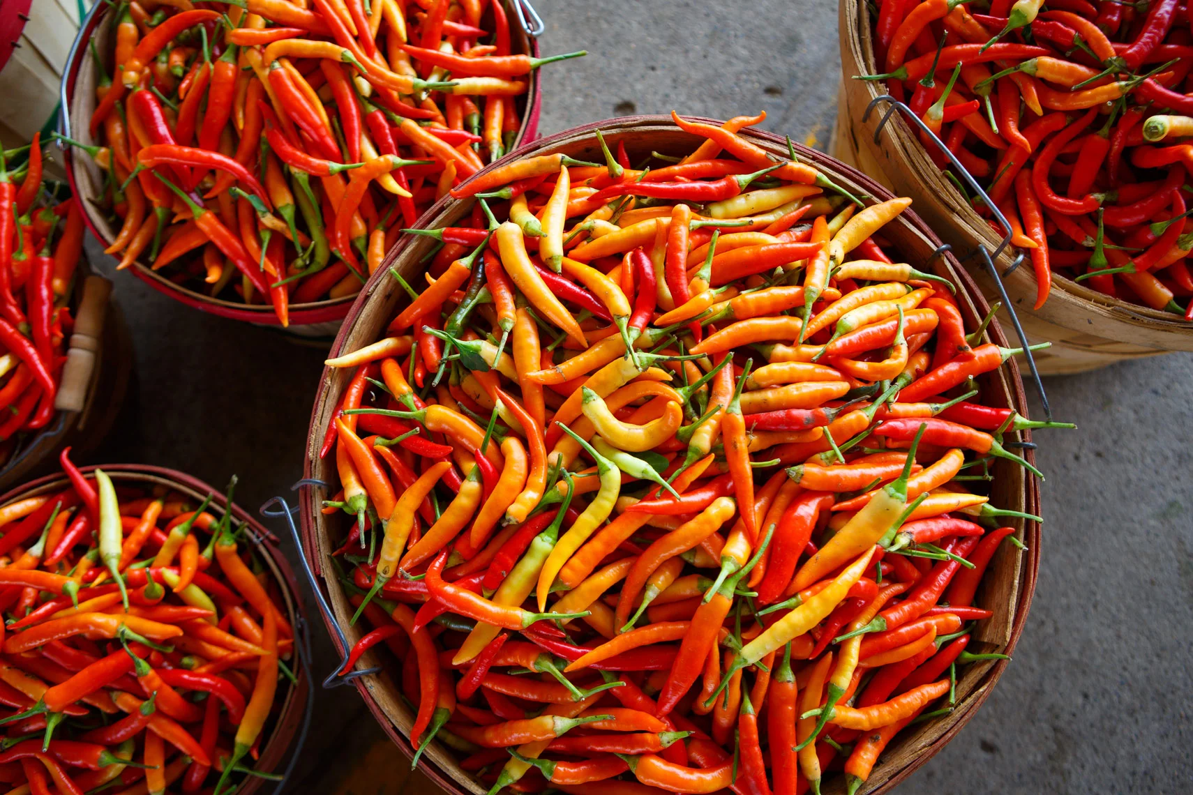 peppers-farmers-market-mpls-7397apf.jpg