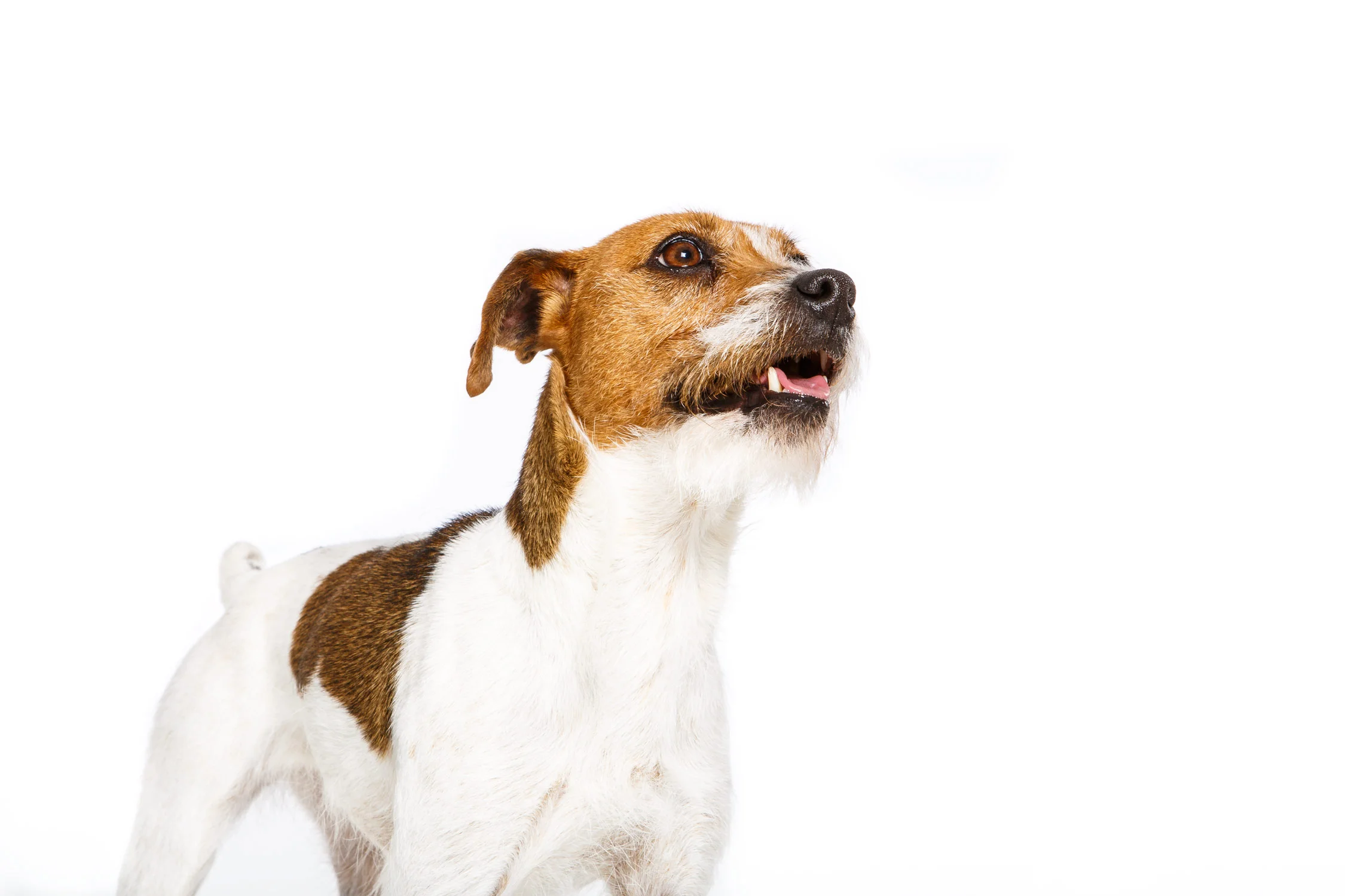 20140213_Target_Casting-0546-sp.jpg