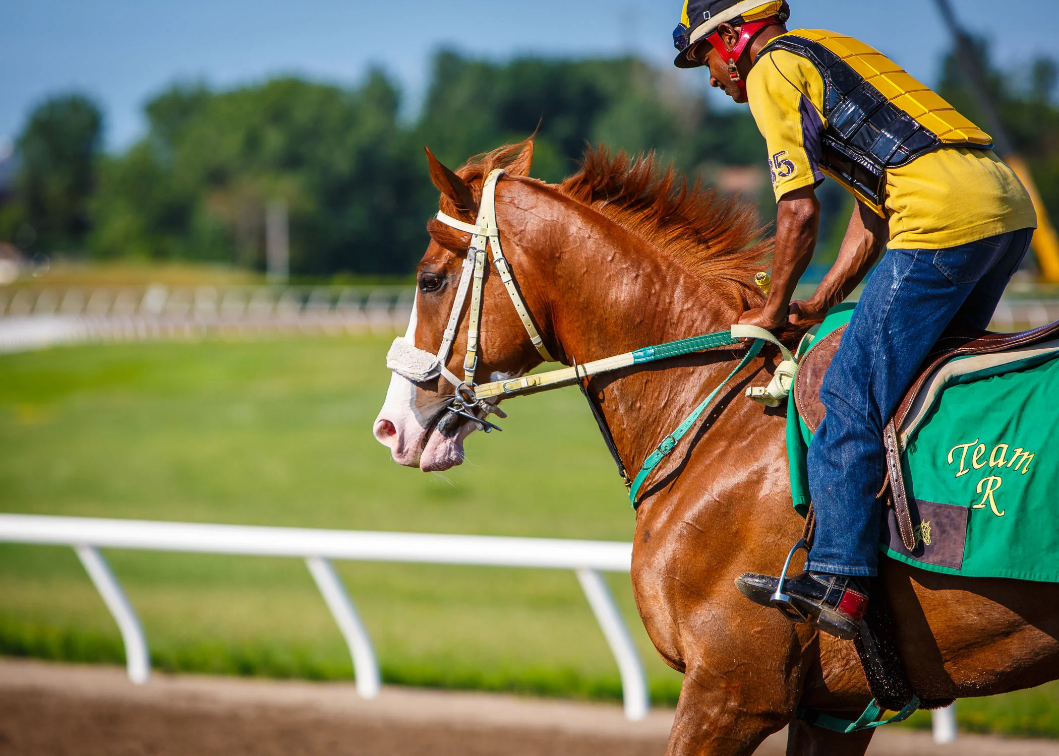 racehorse-exercise-rider-0906-sp.jpg