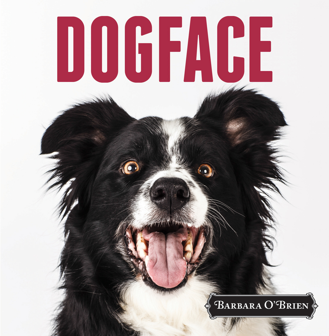 Dogface-Cover-apf.jpg