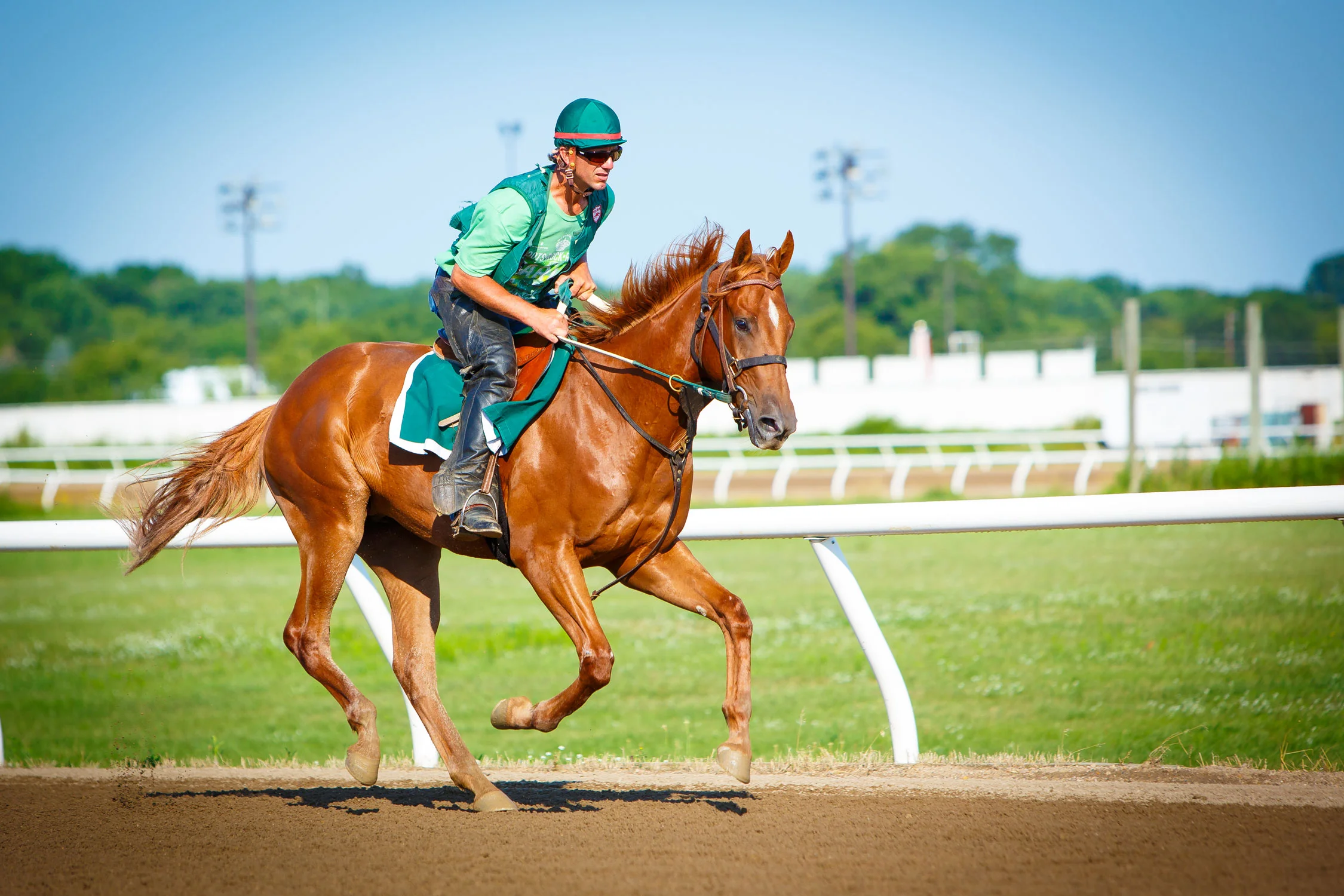 Daily Dose - January 5, 2018 - Easy Breezy - Thoroughbred Race Horse and Exercise Rider