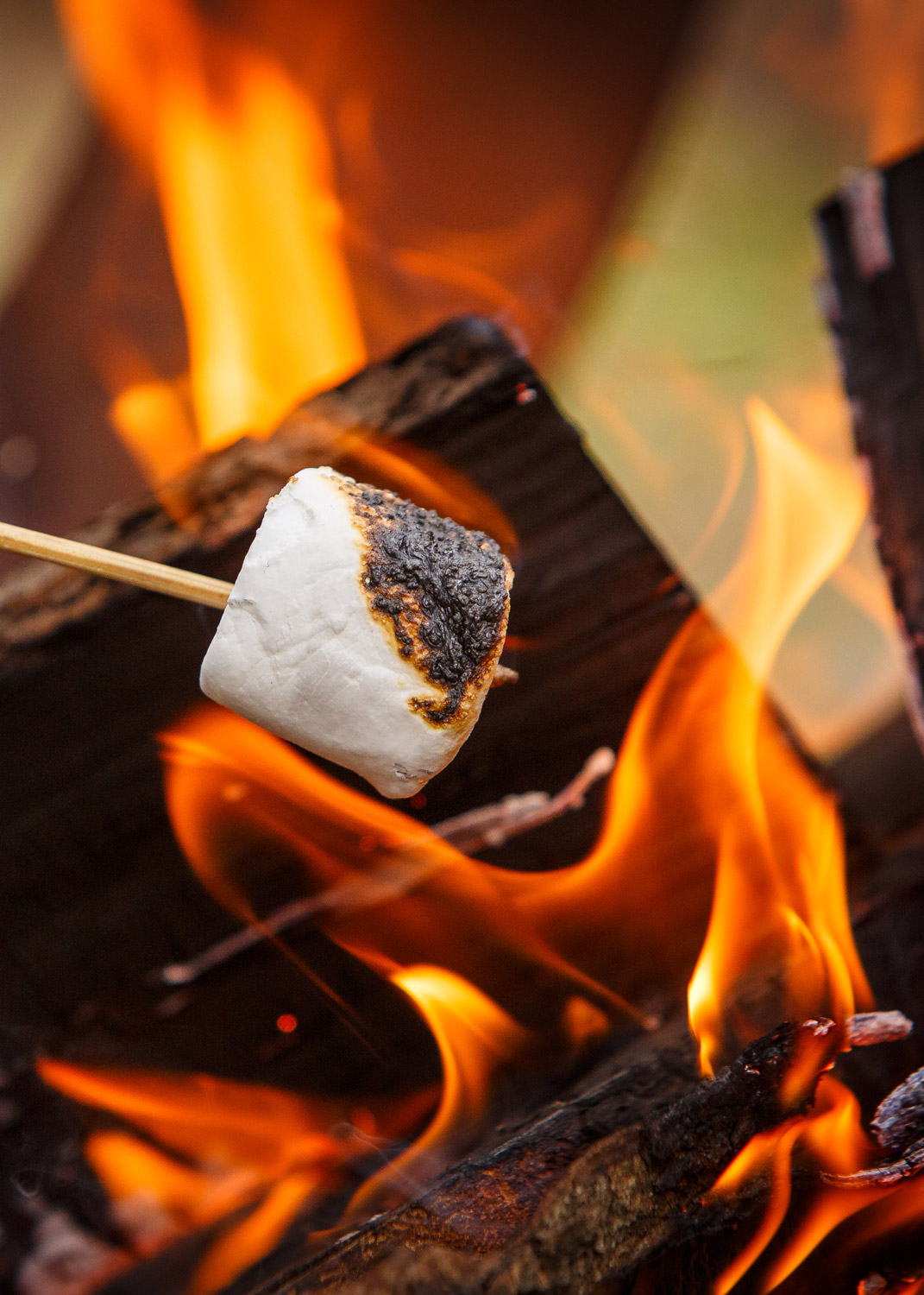 Daily Dose - January 31, 2019 - Two-Thirds of a Smore - Roasting Marshmallow over Campfire