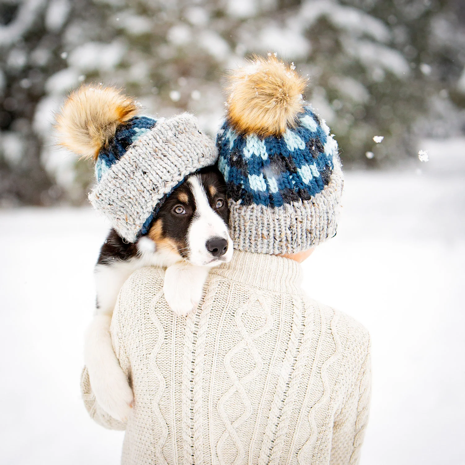 Boy with Puppy in Matching Hats in Snow 