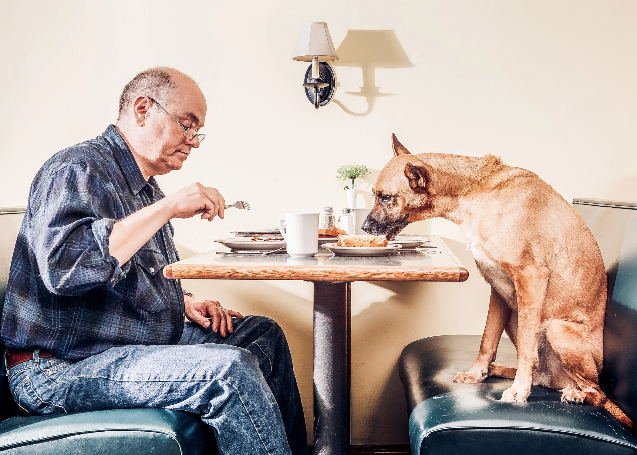 Daily Dose - February 22, 2019 - Doggie Diner