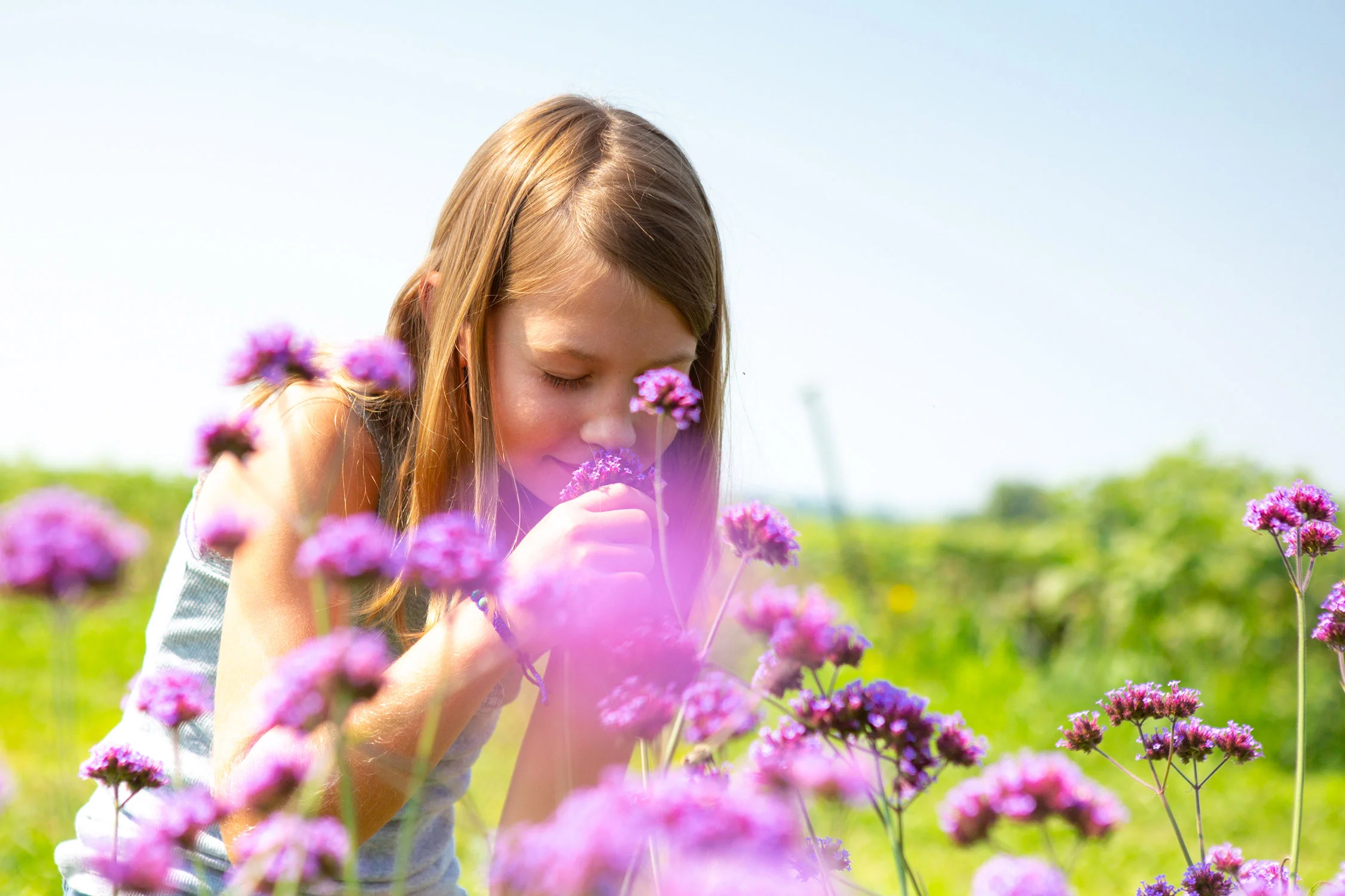 Daily Dose - March 11, 2019 - Summer Someday