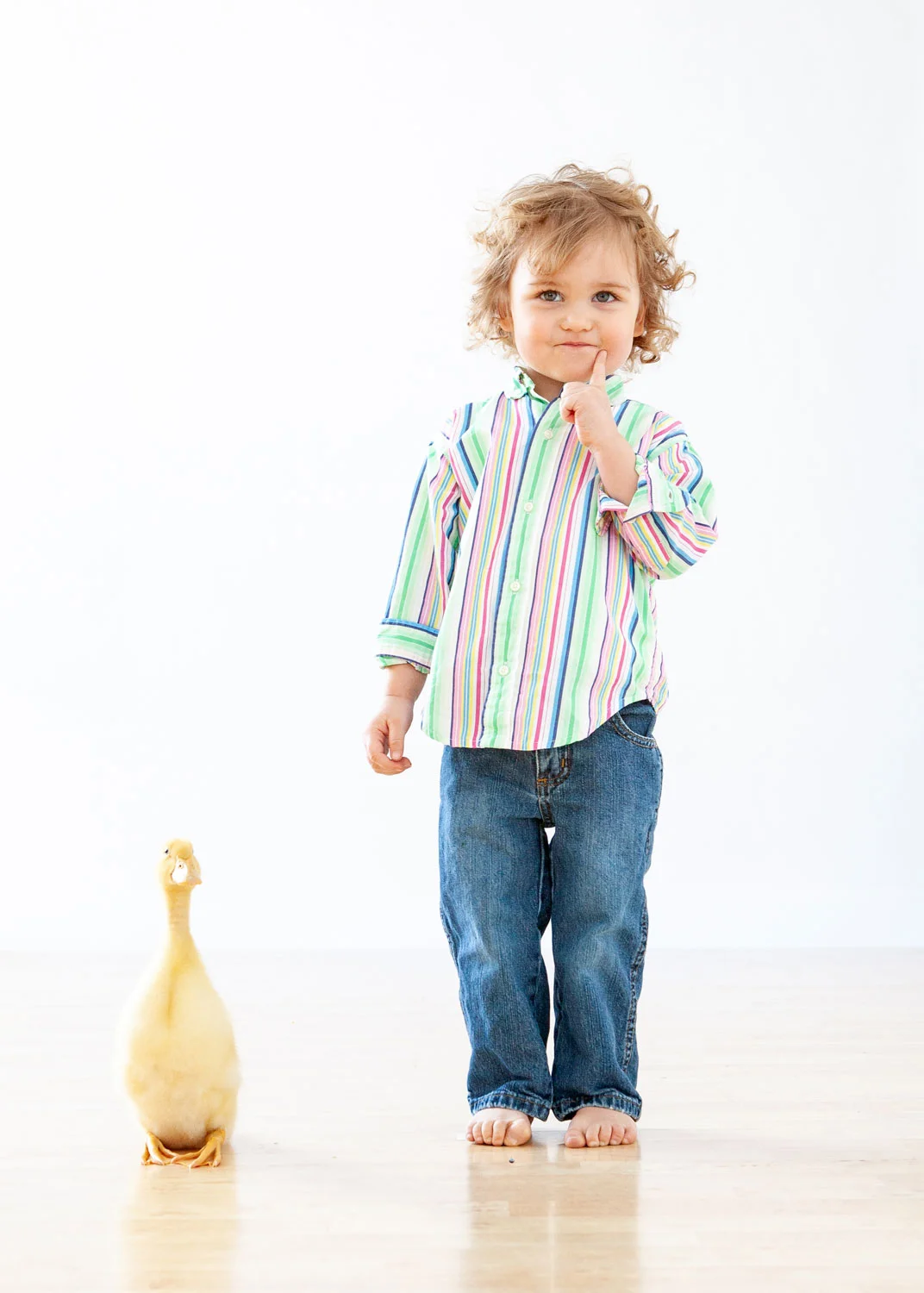 Daily Dose - March 30, 2019 - Thinking of Spring - Boy and Gosling