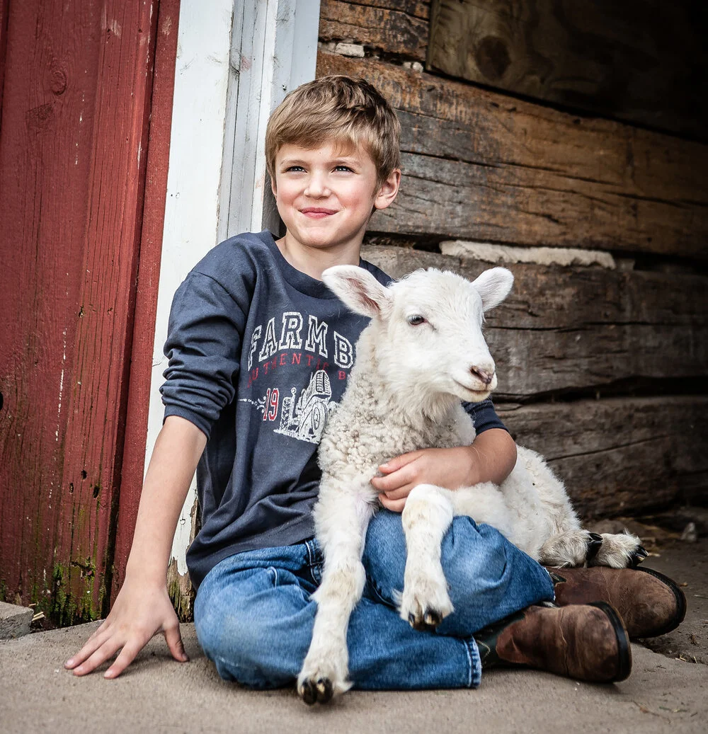 Farm-Boy-Brand-Boy-and-lamb-8786-sp.jpg