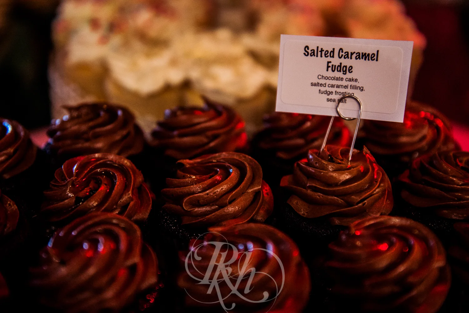 Beth & Clarissa - Minnesota LGBT Wedding Photography - RKH Images - Blog -45.jpg