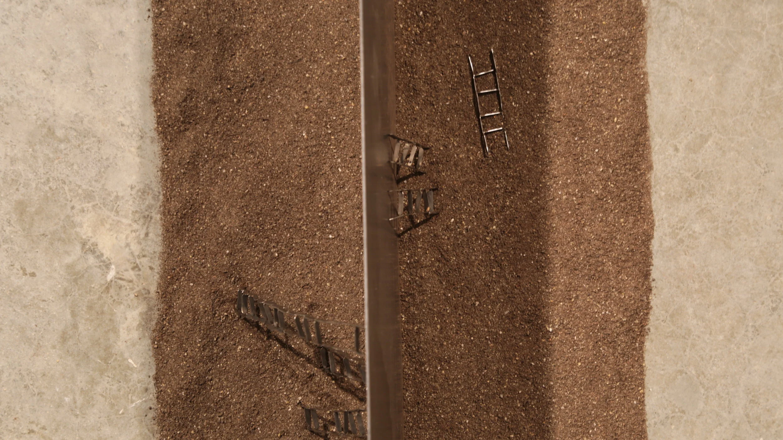 BV3A8137.JPG
