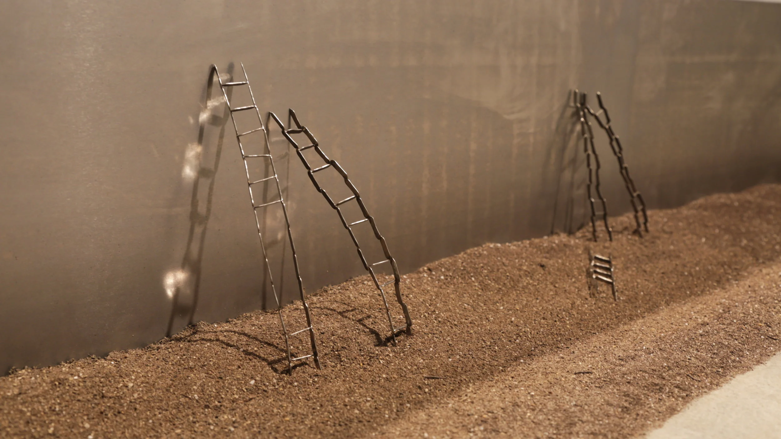  Photography of  A Shadow's Dream  by Alethea Busch. 