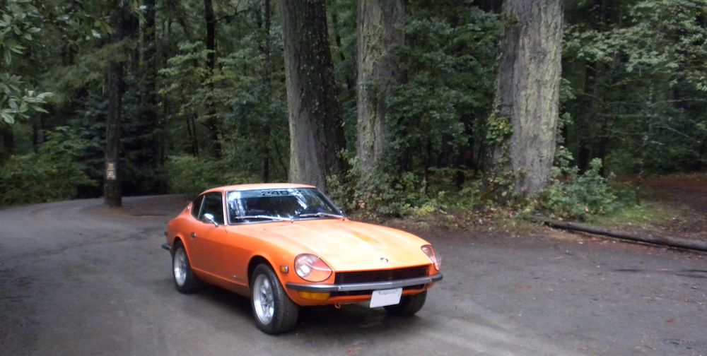 Datsun 240z In the trees cropped.JPG