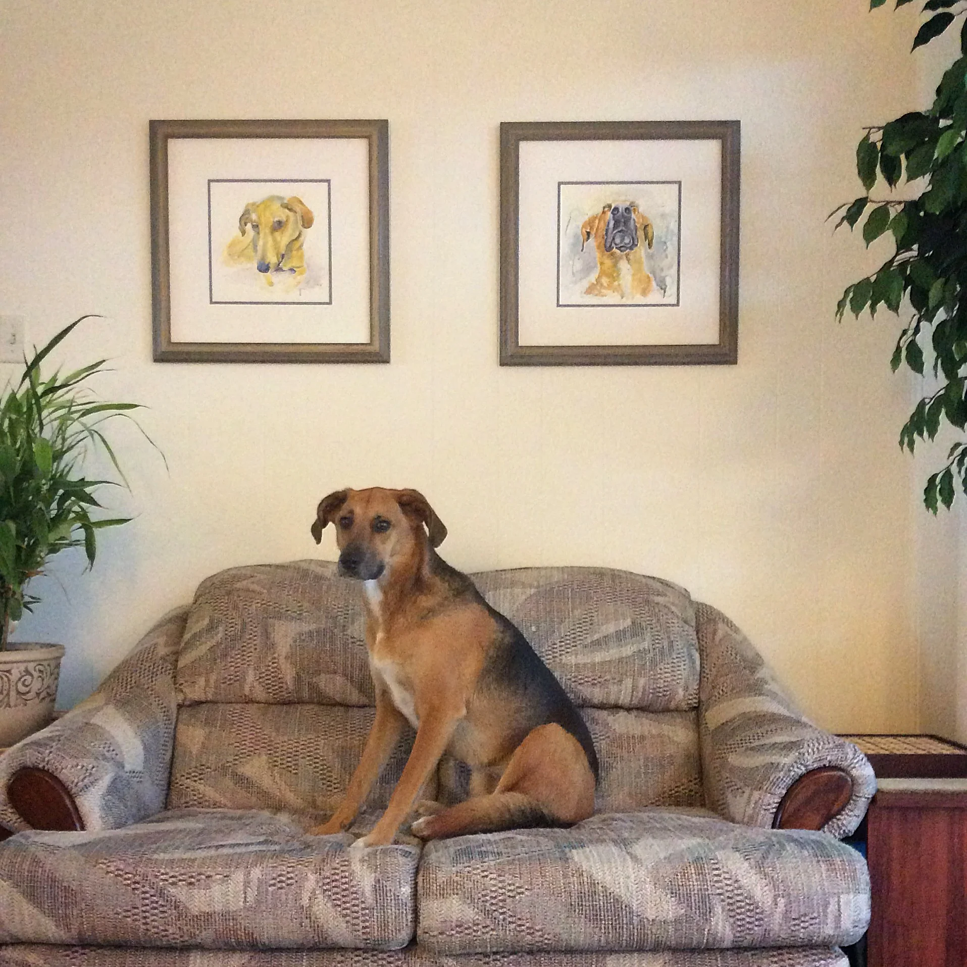 Master Harry's Gallery