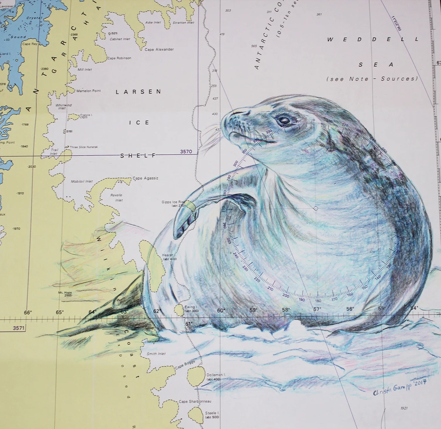 Crabeater Seal.