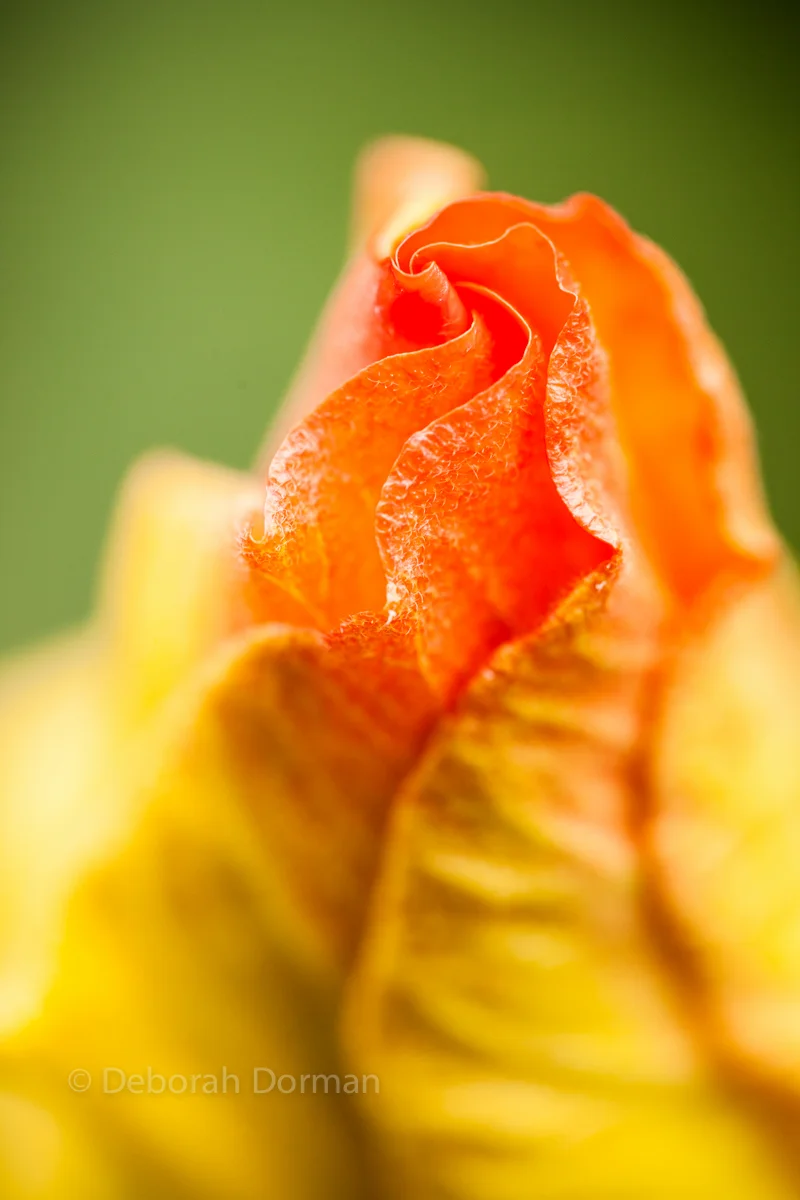 20160831-_MG_6110.jpg