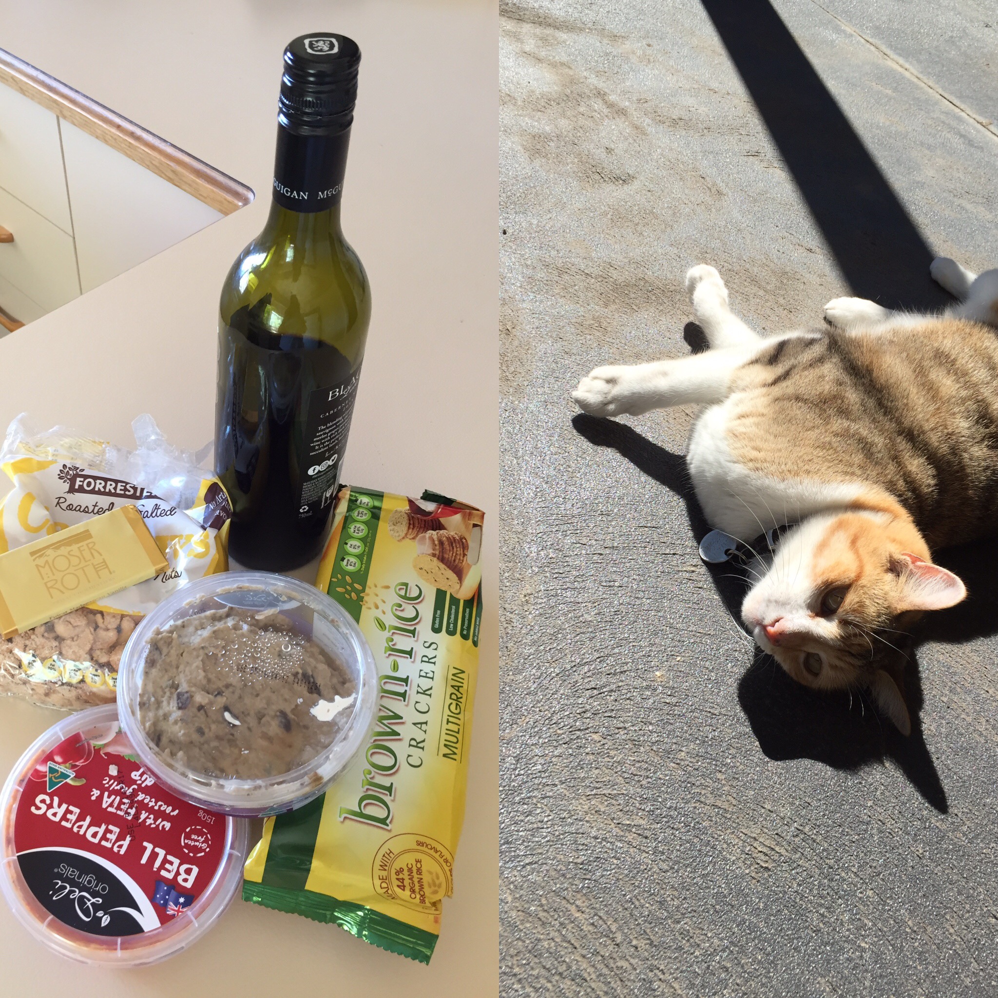 Printing party supplies for me and the cat. 