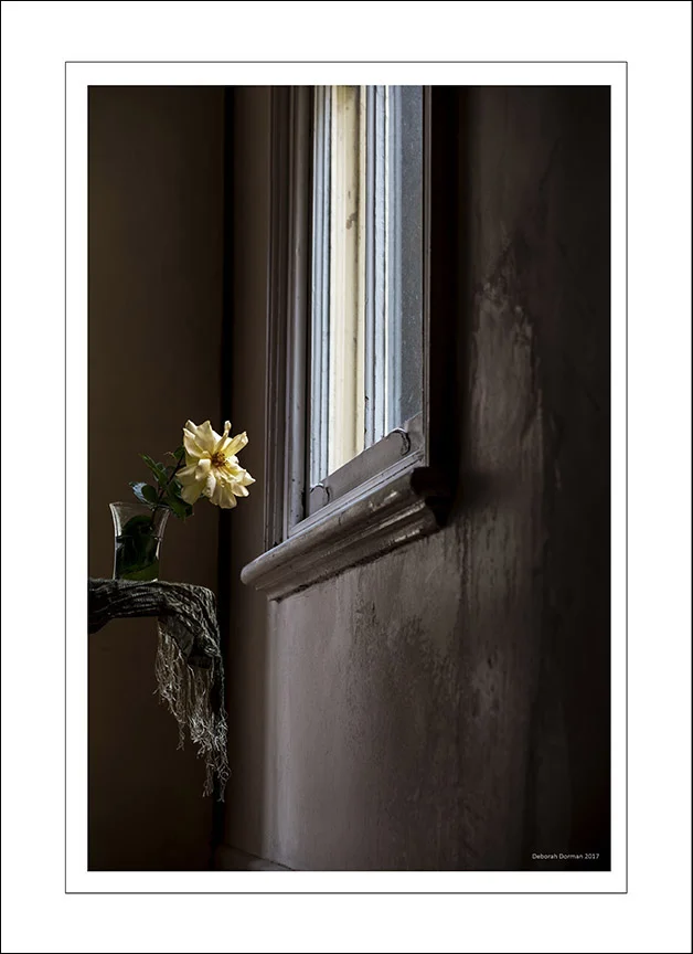Still Life Scarf & Flowers 2.jpg