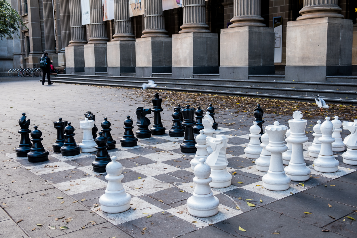 I like the idea that the birds are playing chess. 