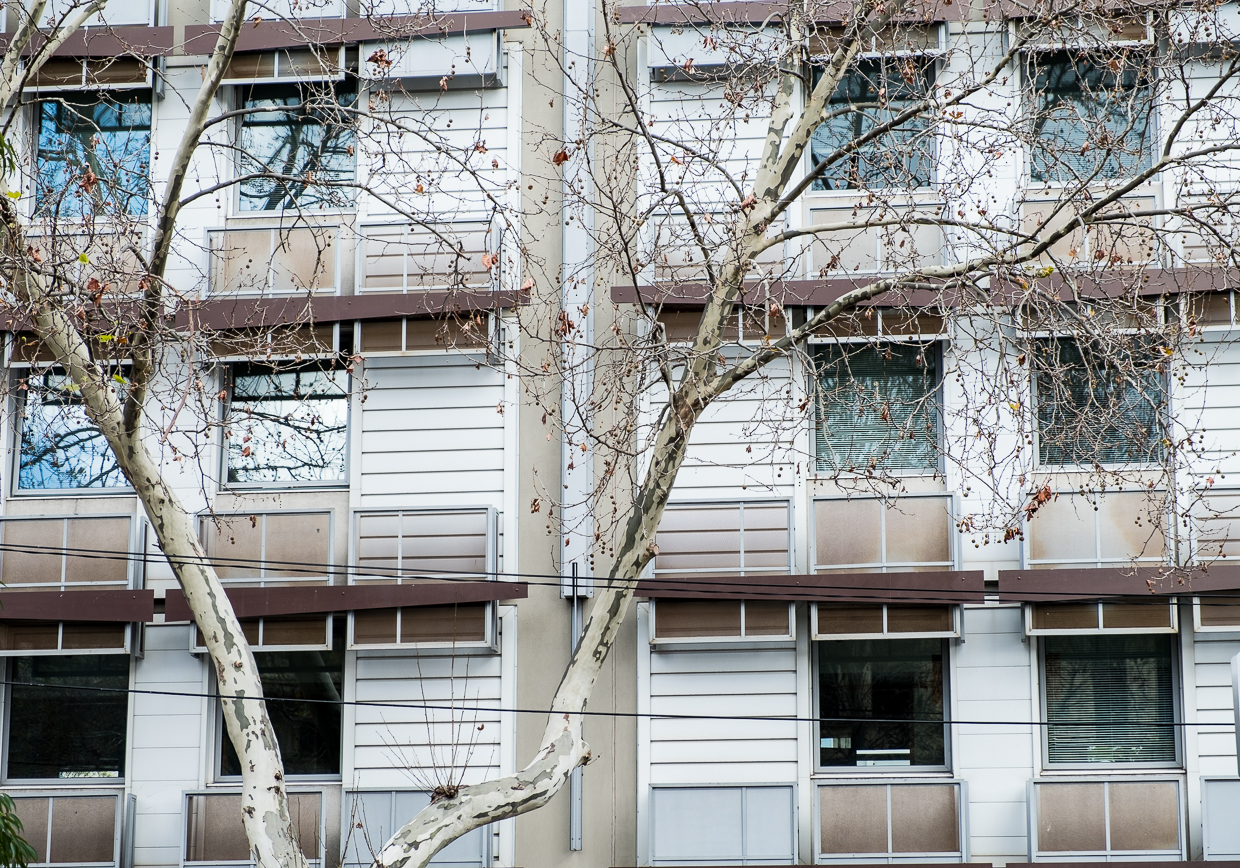 Carlton. Trees and architecture create winter tonal delights. 
