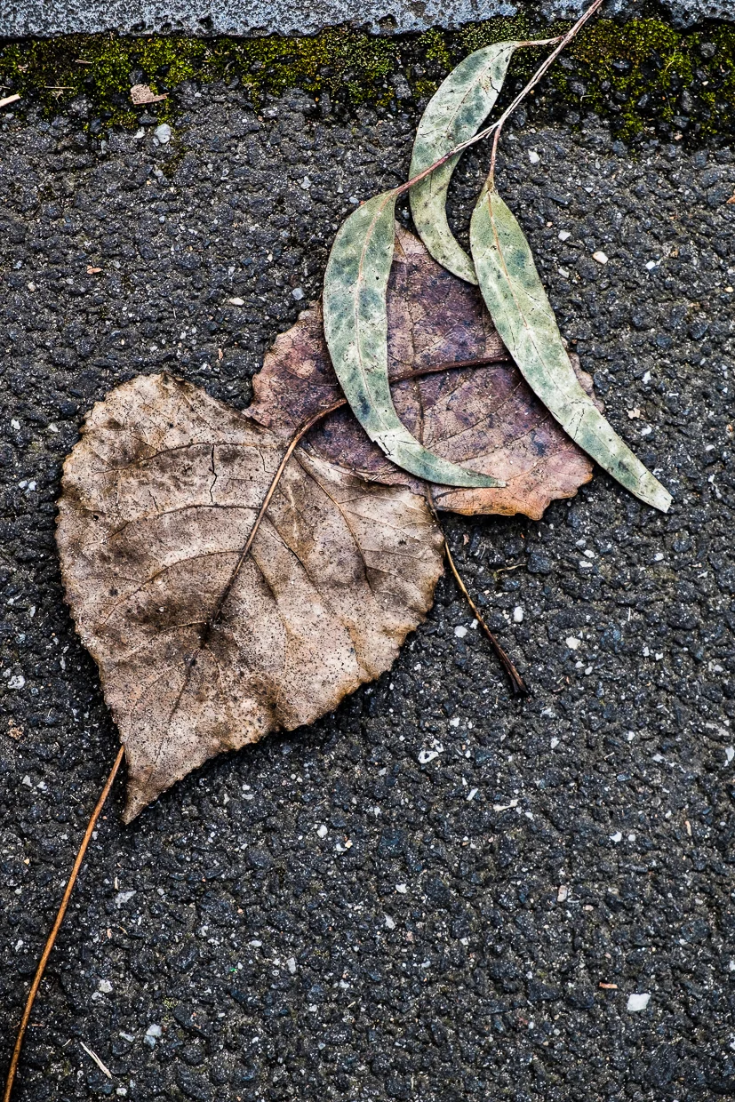 Sidewalk art. 