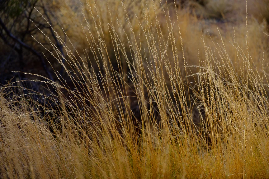 Uluru-6930.jpg