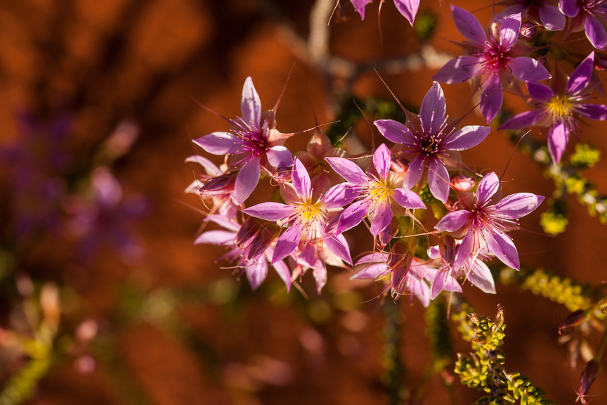 Uluru-9473.jpg