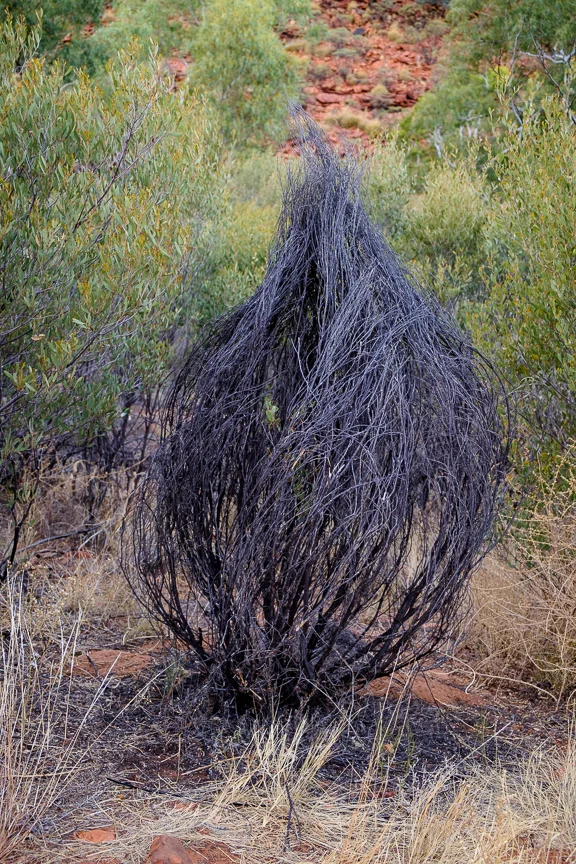 Uluru-7209.jpg
