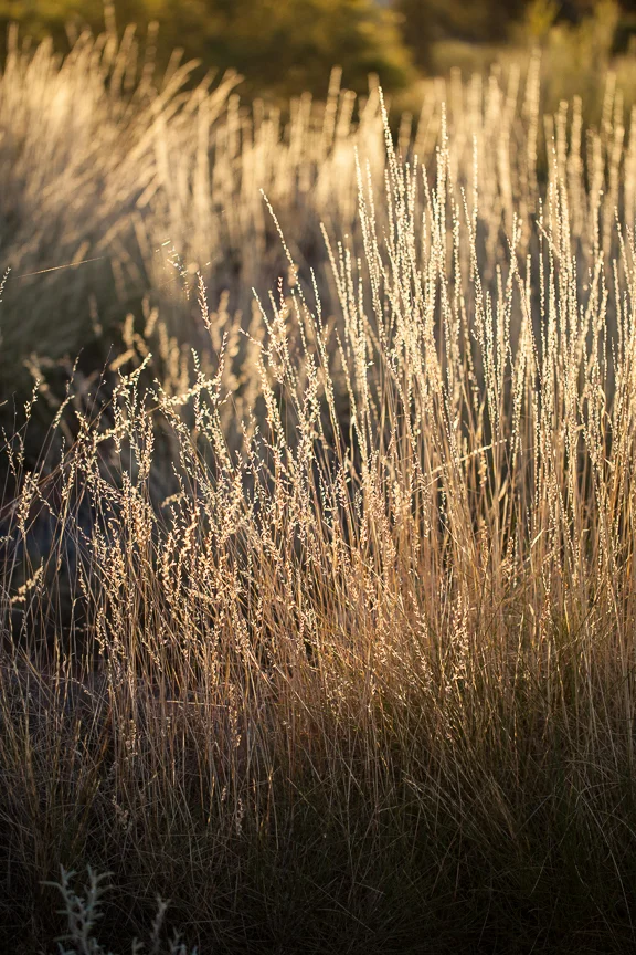 Uluru-9803.jpg