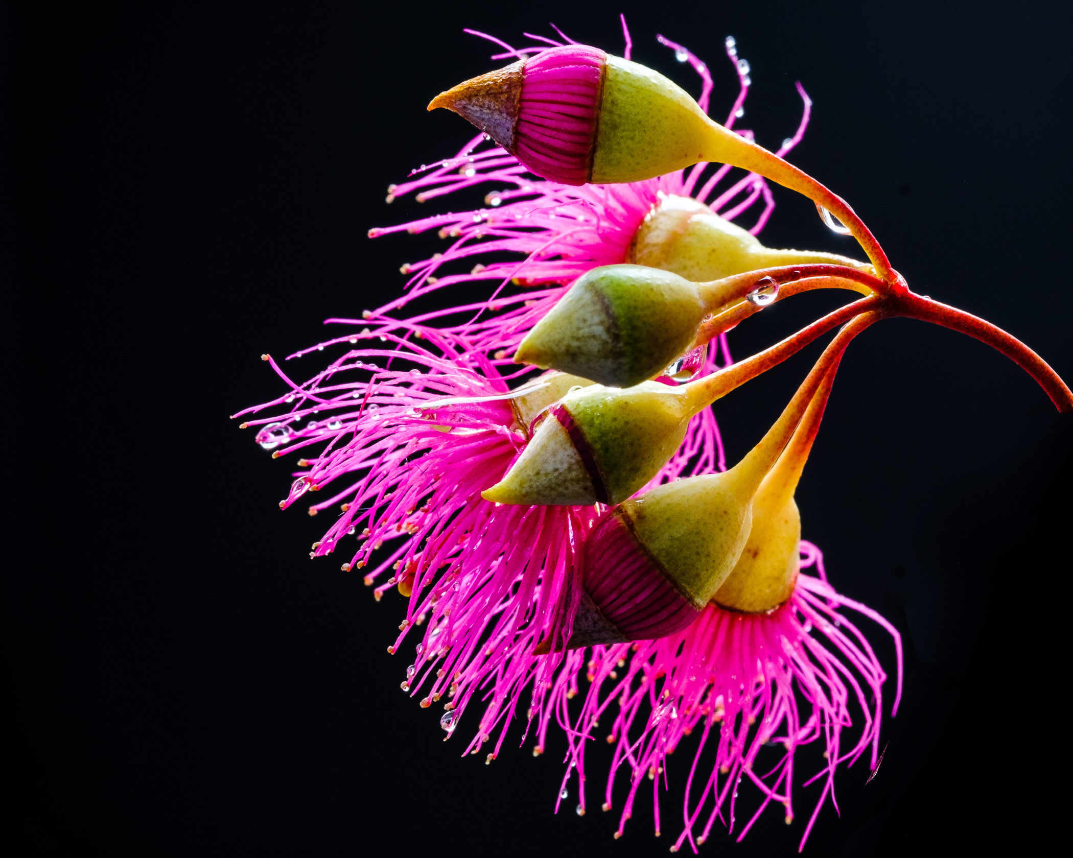 DSCF8115.jpg