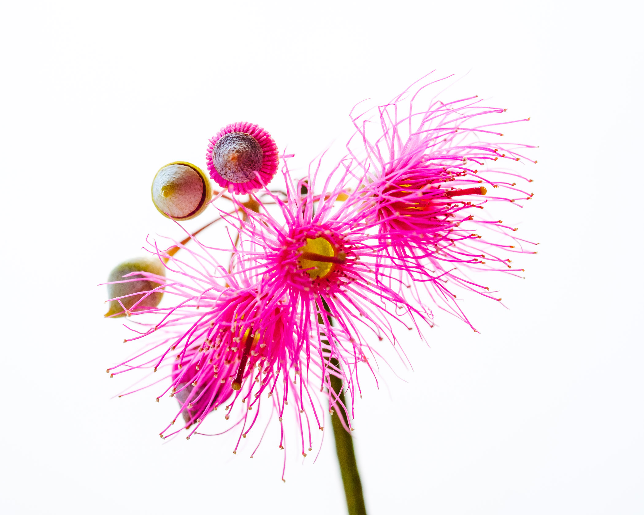 DSCF8079.jpg