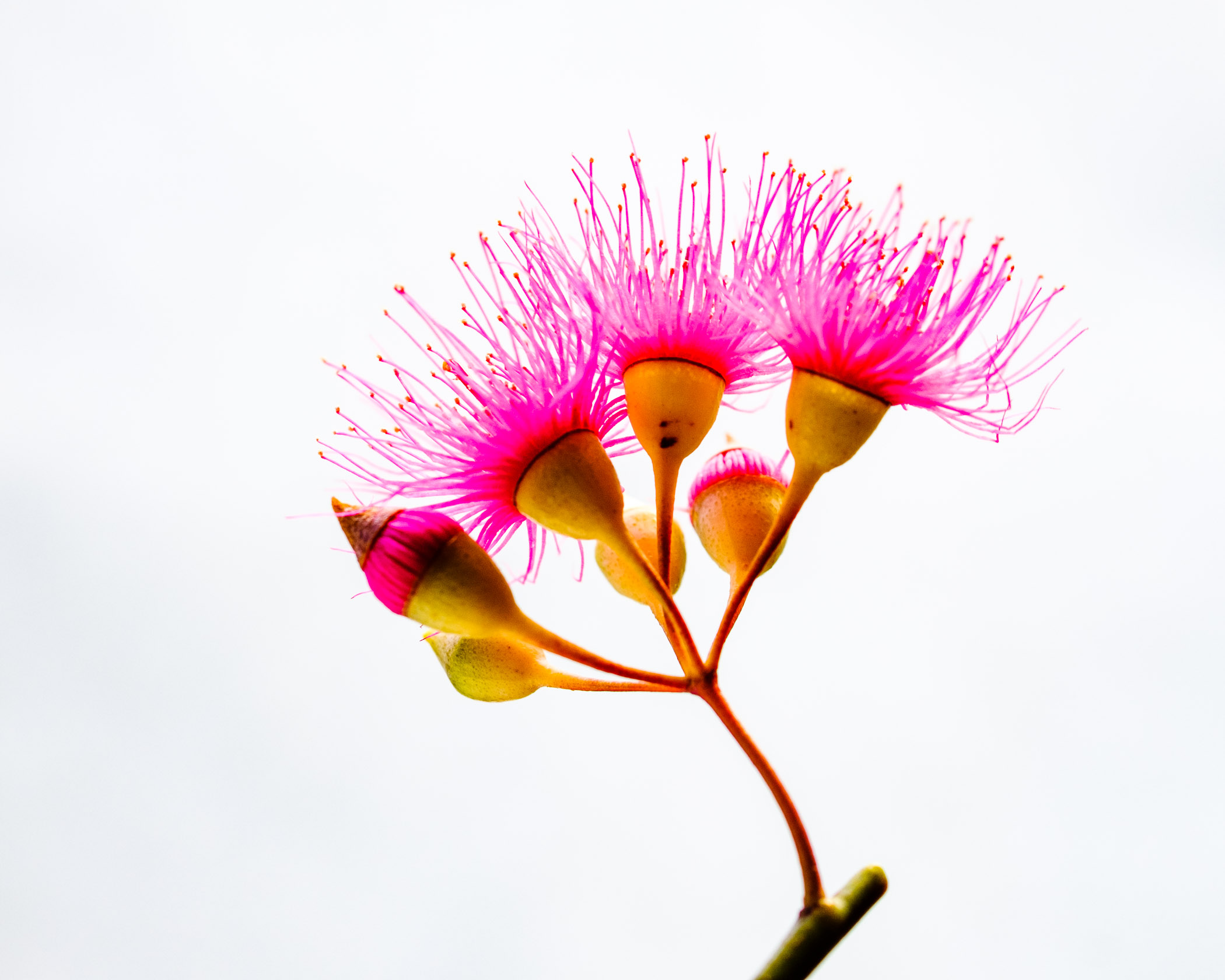 DSCF8078.jpg