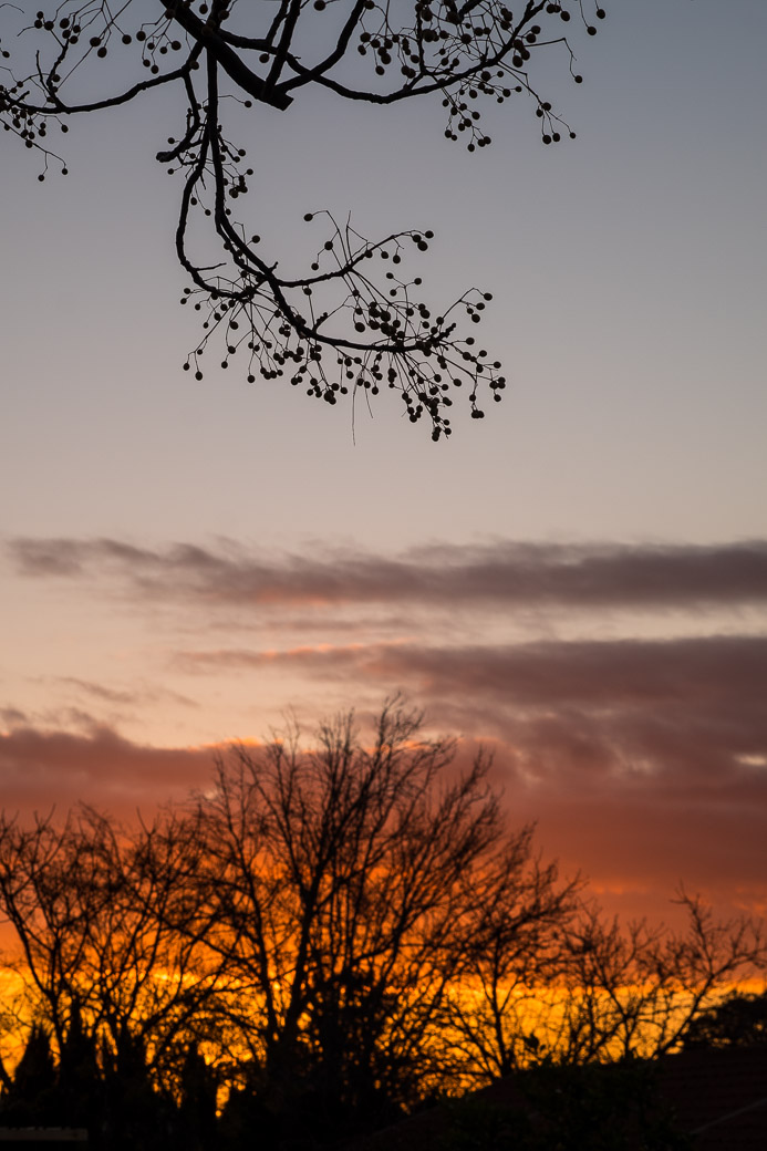 DSCF3079.jpg