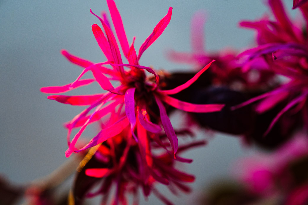 DSCF3058.jpg