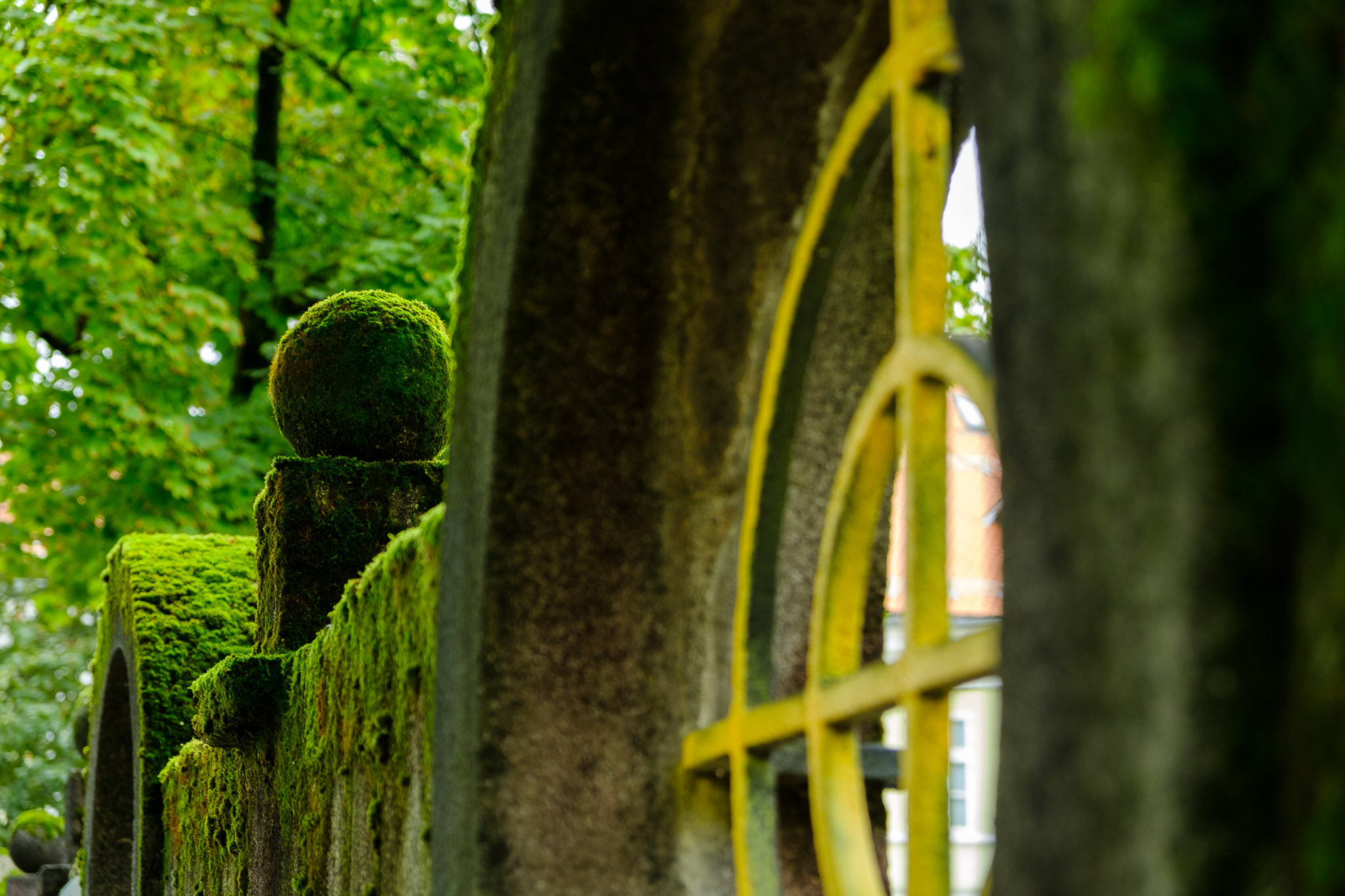 DSCF4744.jpg