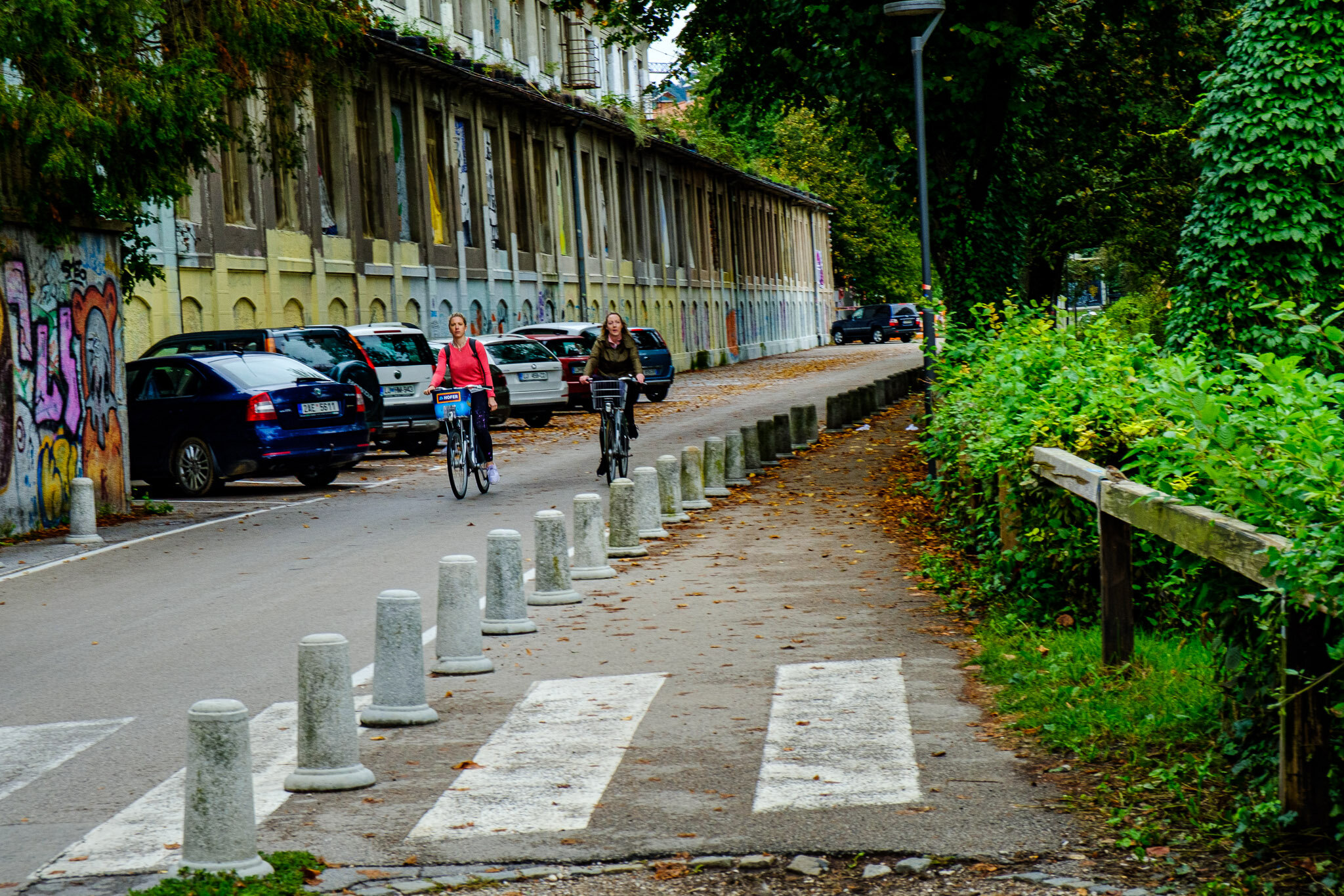 DSCF4957.jpg