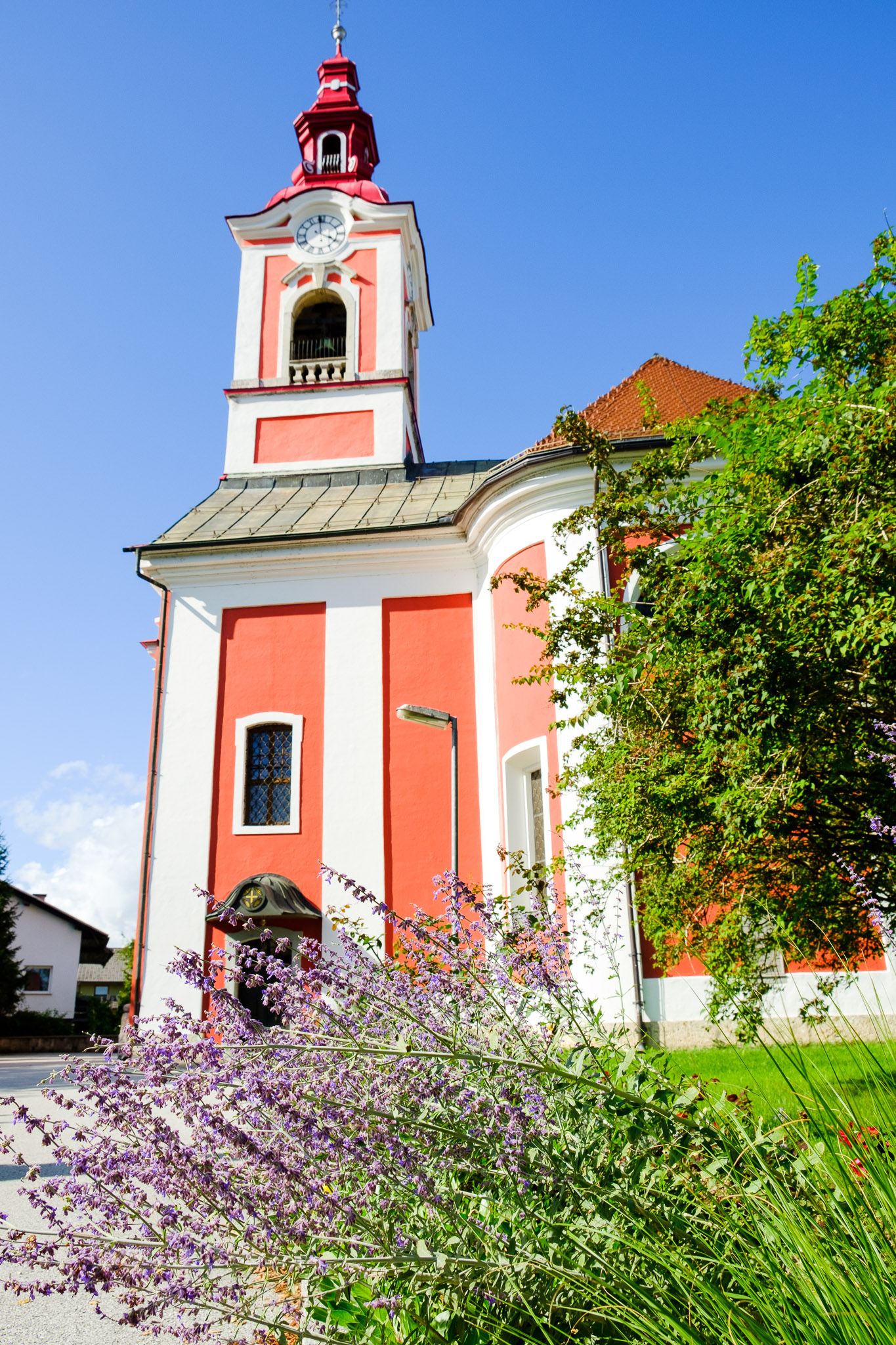 DSCF5077.jpg