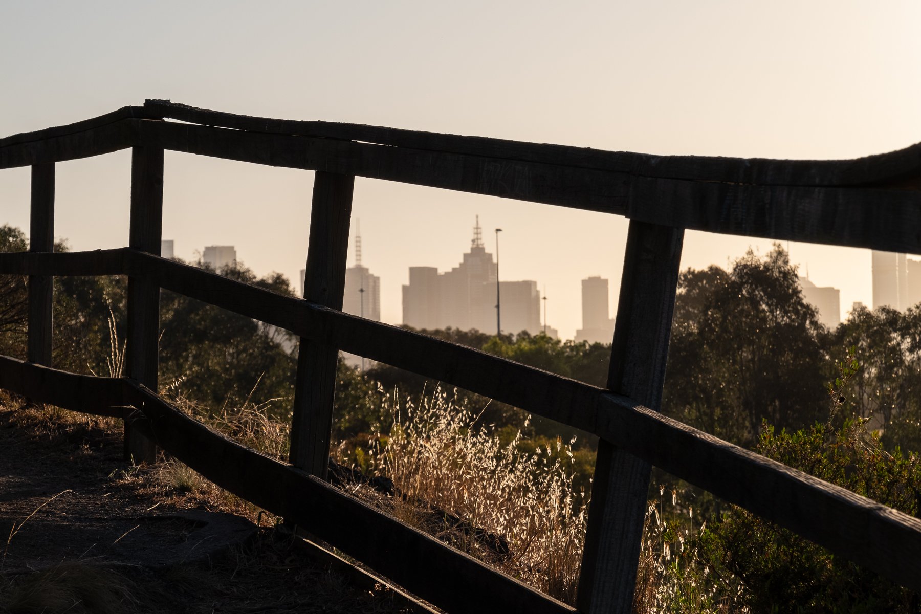 Introduction to Photography - Get in early for a discount!