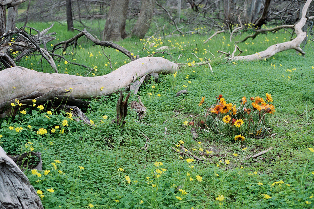  For those that were, and remain. 2016 