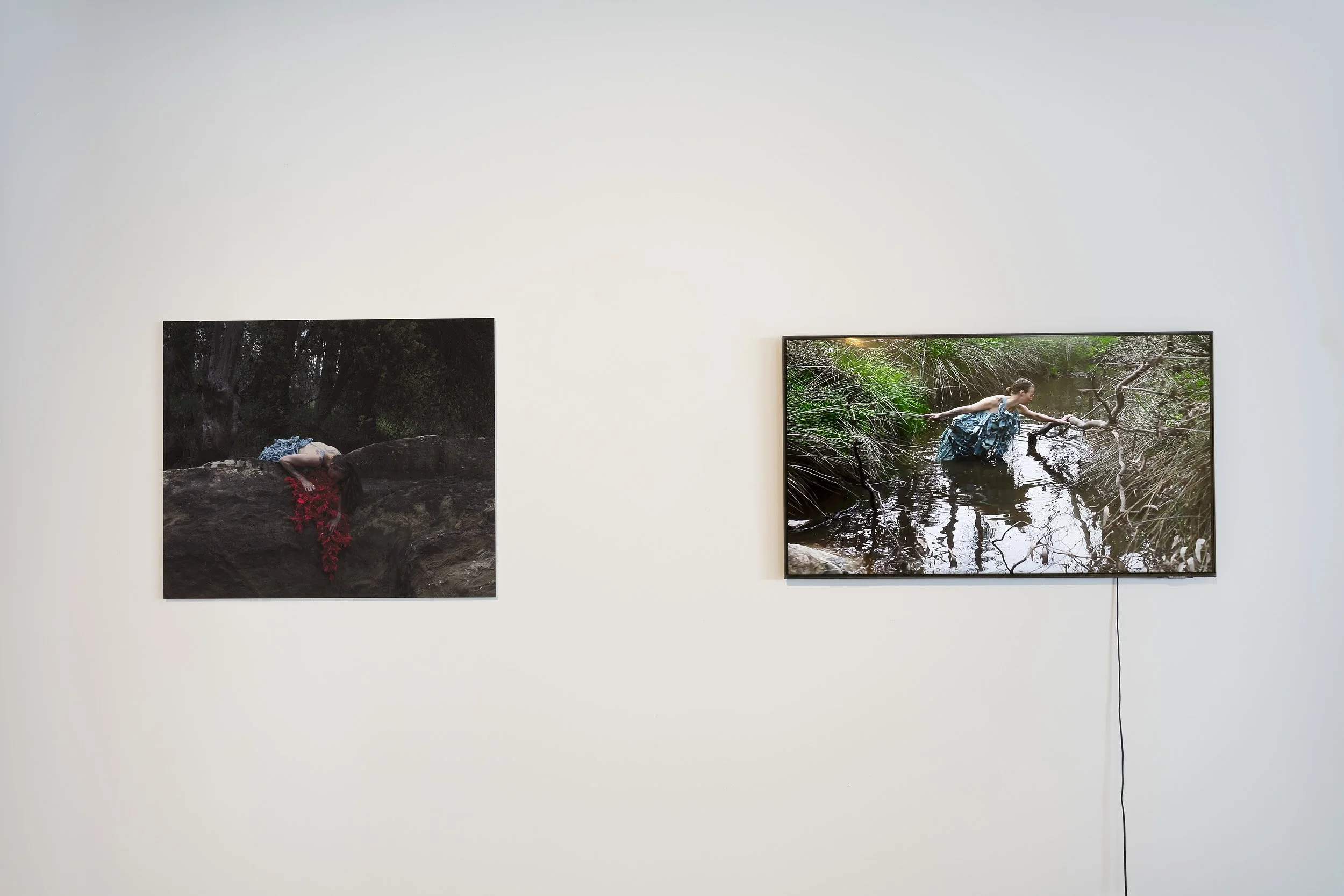  Installation view, 2025 Parallel Projects Documentation by Narelle Wilson 