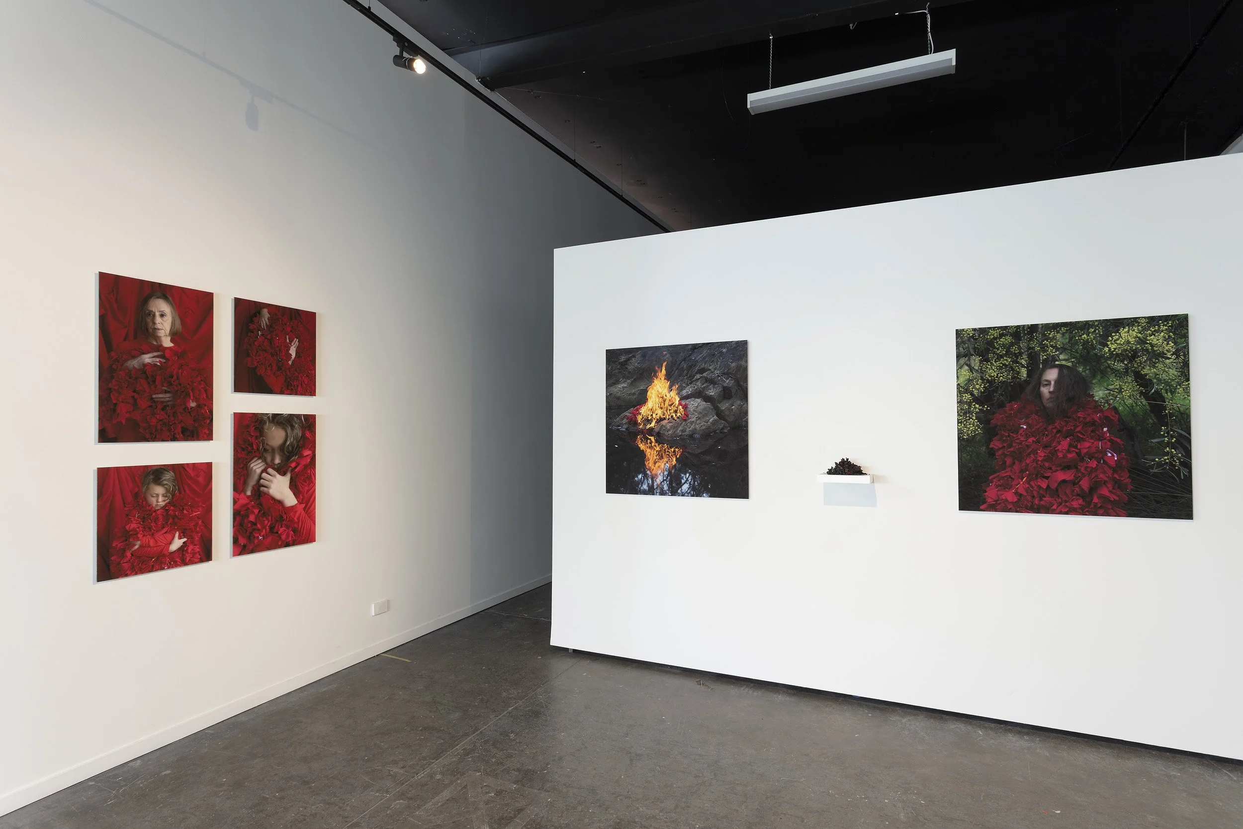  Installation view, 2025 Parallel Projects Documentation by Narelle Wilson 